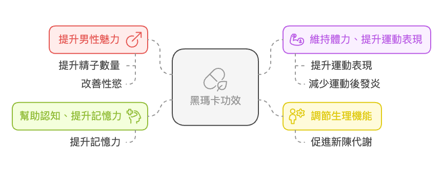 黑瑪卡功效好處有哪些？4大黑瑪卡功效詳細整理