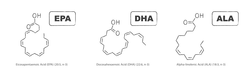 Omega-3三種形式：EPA、DHA、ALA