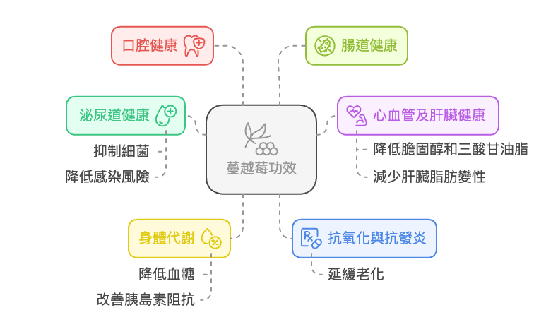 6大蔓越莓功效詳細整理