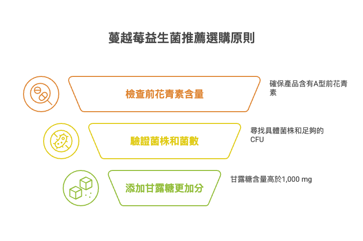 蔓越莓益生菌推薦選購3大步驟