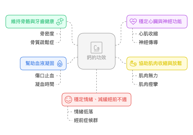 鈣的好處有哪些？5大鈣片功效詳細整理
